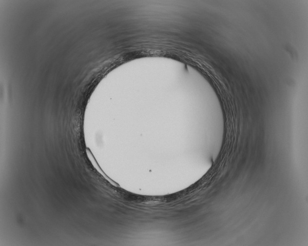 X0000112530505200909281041