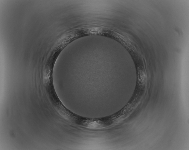 X0000112530507200909281041