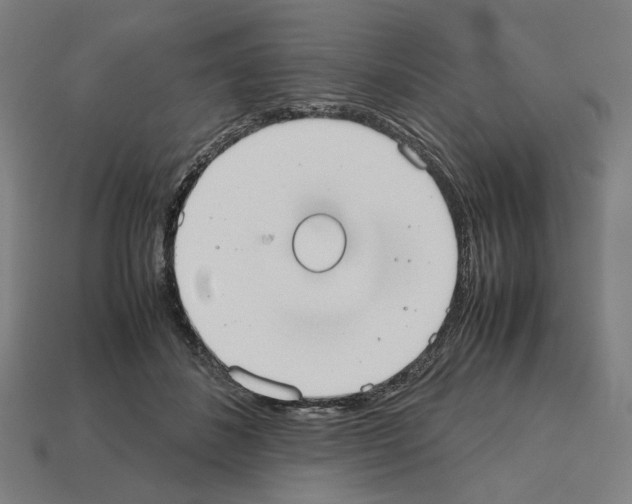 X0000112530508200909281041