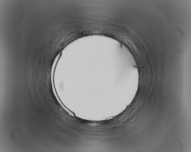 X0000112530509200909281041