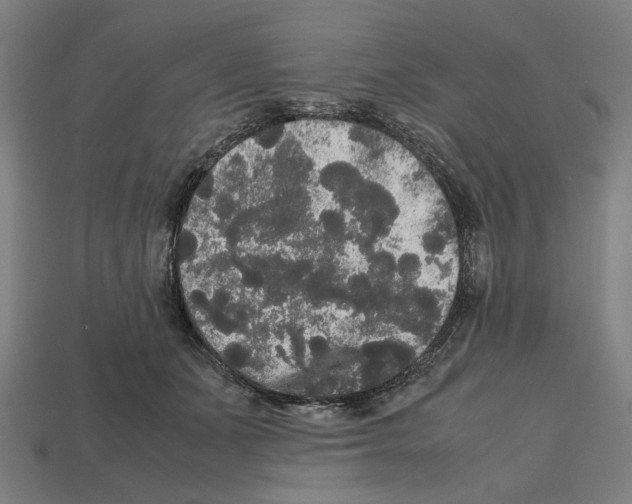 X0000112530511200909281041