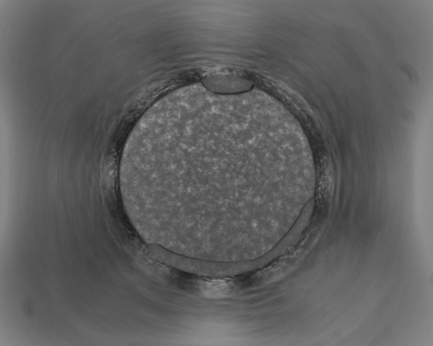 X0000112530513200909281041