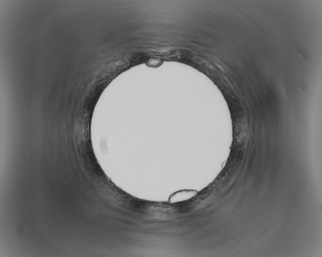 X0000112530515200909281041