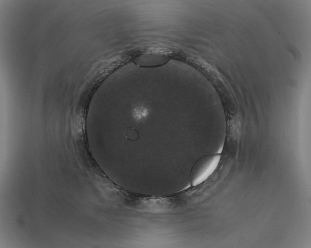 X0000112530517200909281041