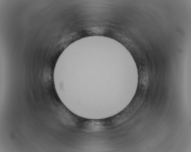 X0000112530518200909281041