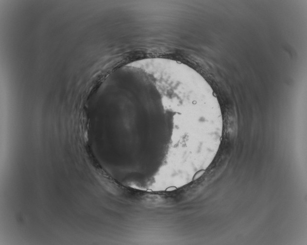 X0000112530519200909281041