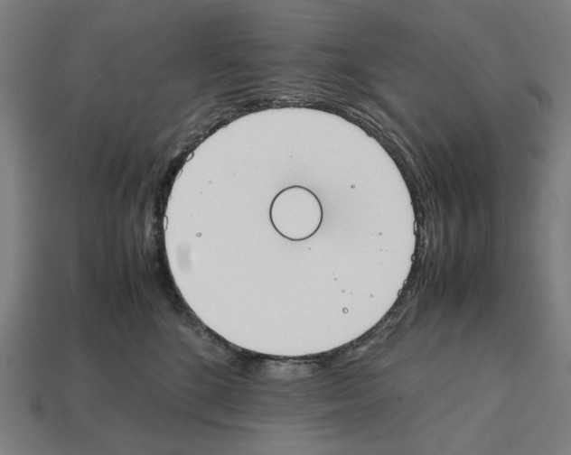 X0000112530520200909281041