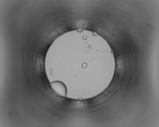 X0000112530522200909281041