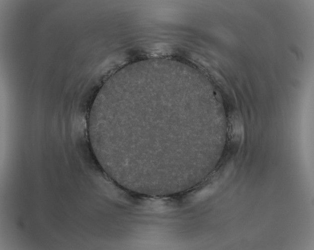 X0000112530523200909281041