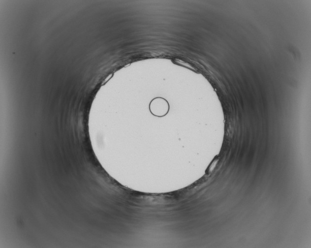 X0000112530524200909281041