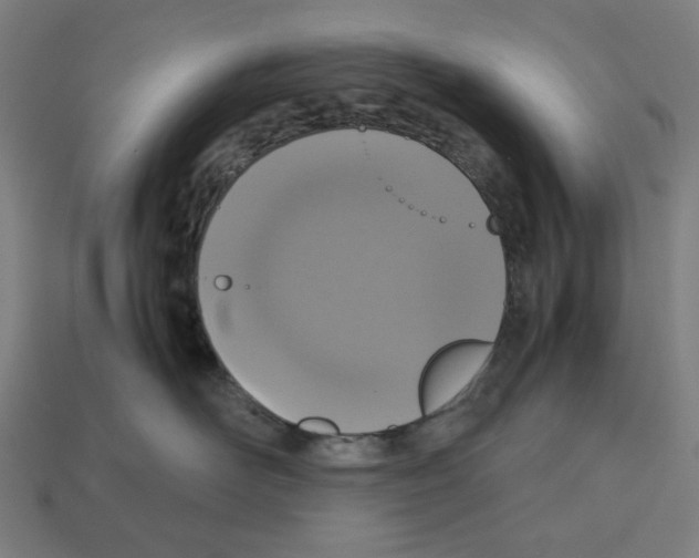 X0000112530526200909281041