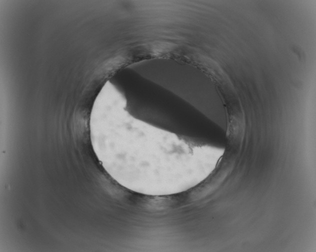 X0000112530527200909281041