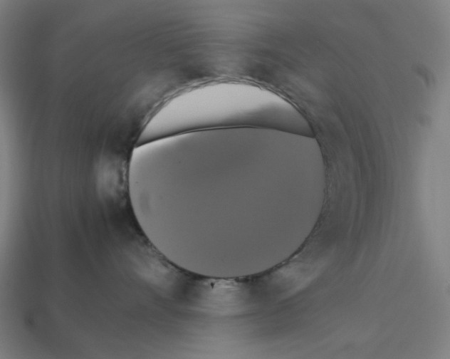 X0000112530528200909281041