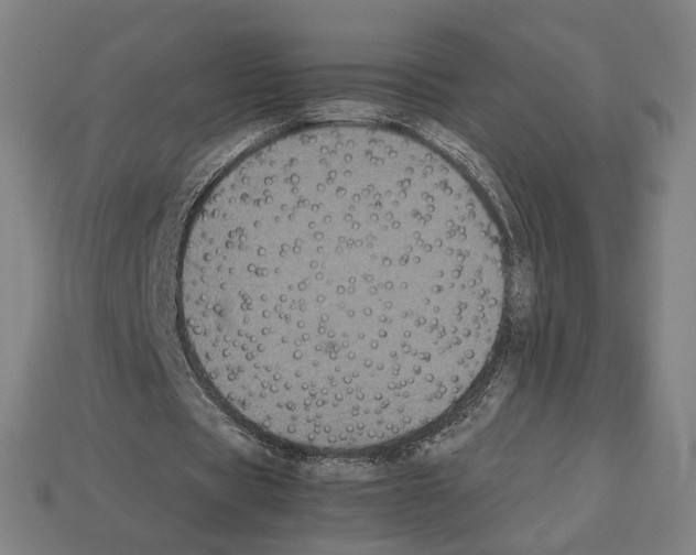 X0000112530529200909281040