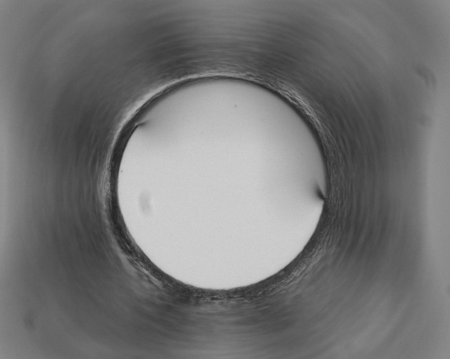 X0000112530532200909281040