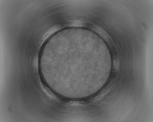 X0000112530534200909281040