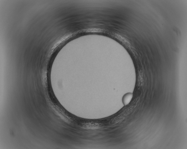 X0000112530535200909281040