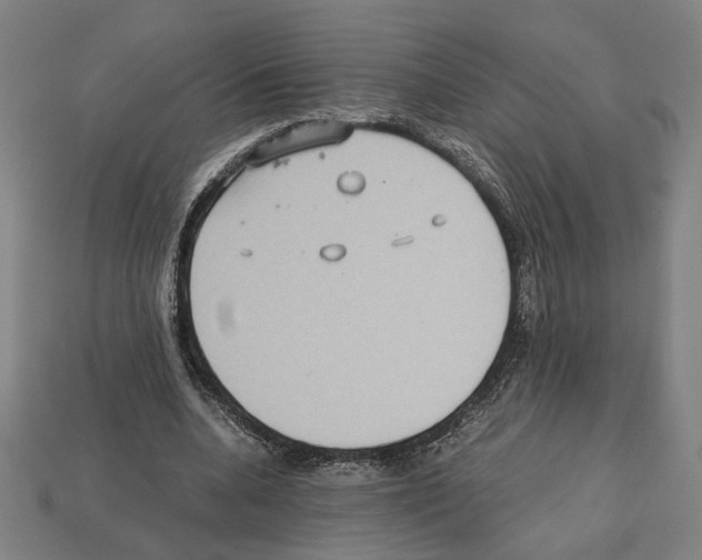 X0000112530536200909281040