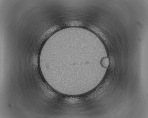 X0000112530537200909281040