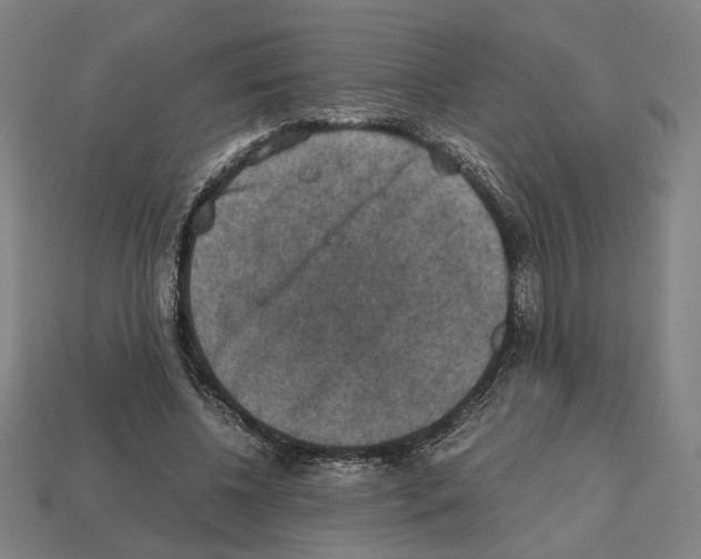 X0000112530540200909281040