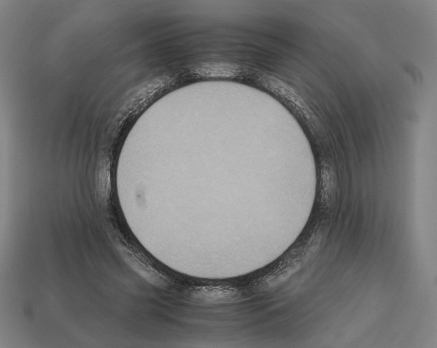 X0000112530541200909281040