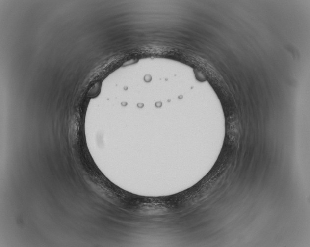 X0000112530544200909281040