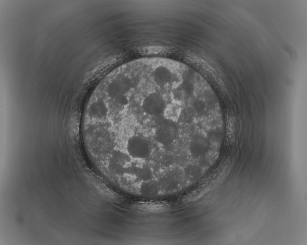 X0000112530545200909281040