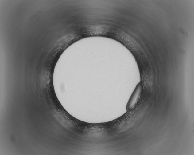 X0000112530546200909281040