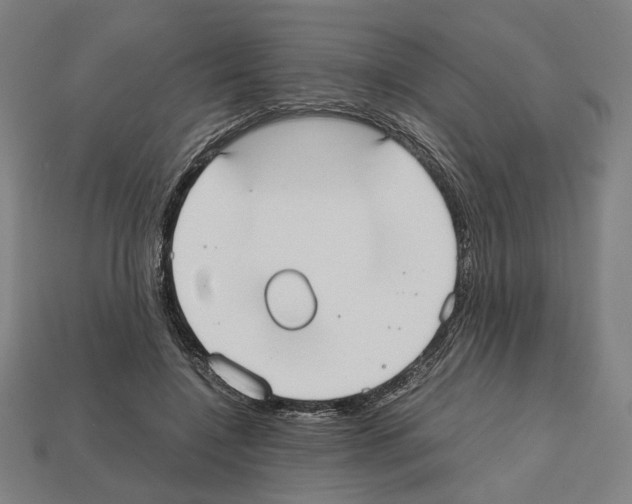 X0000112530548200909281041