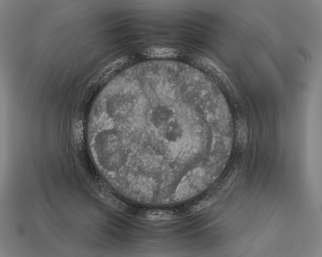 X0000112530549200909281041