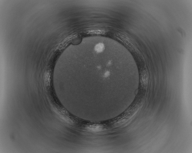 X0000112530551200909281041