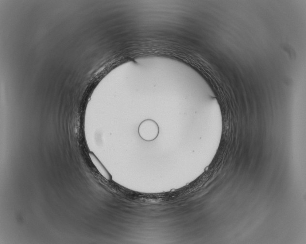 X0000112530552200909281041