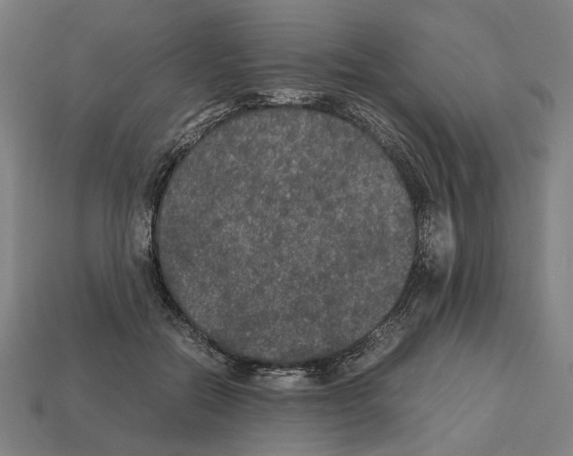 X0000112530554200909281041