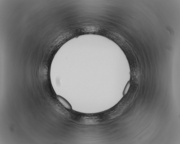 X0000112530556200909281041