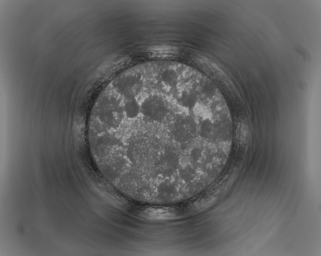 X0000112530557200909281041