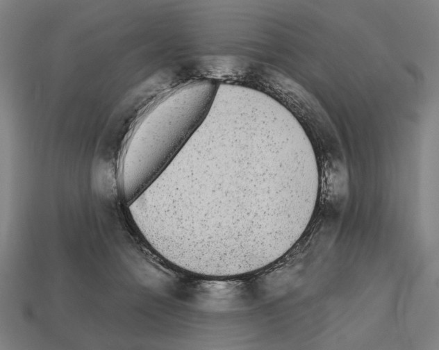 X0000112530558200909281041