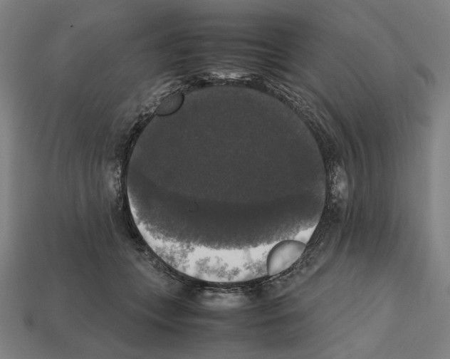 X0000112530559200909281041