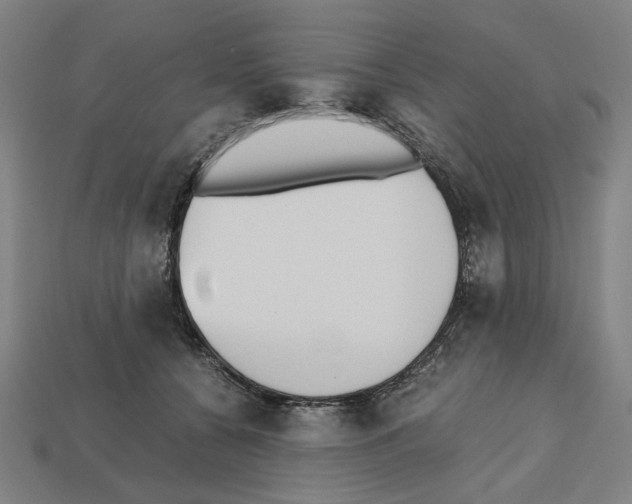 X0000112530560200909281041