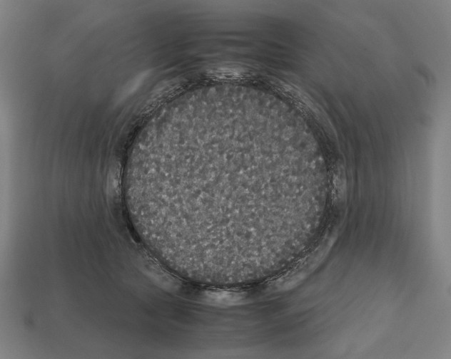 X0000112530561200909281041