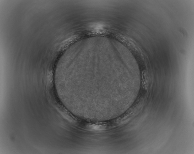 X0000112530563200909281041