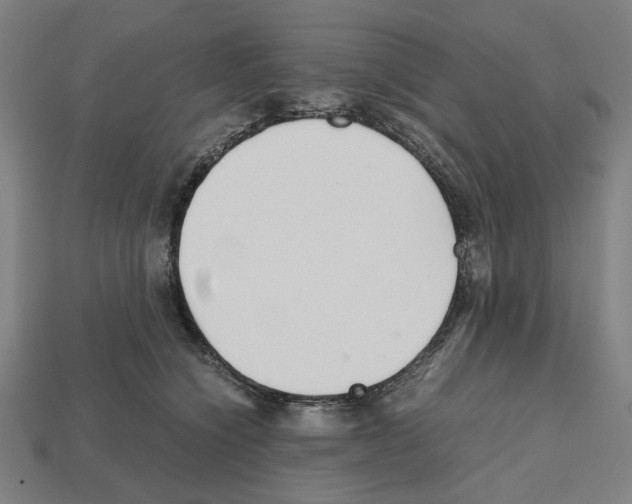 X0000112530564200909281041