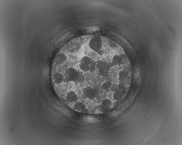 X0000112530565200909281041