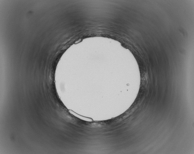 X0000112530566200909281041