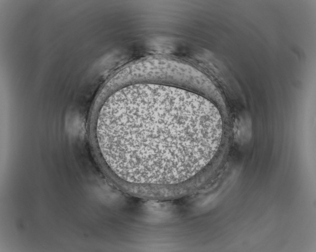 X0000112530568200909281041