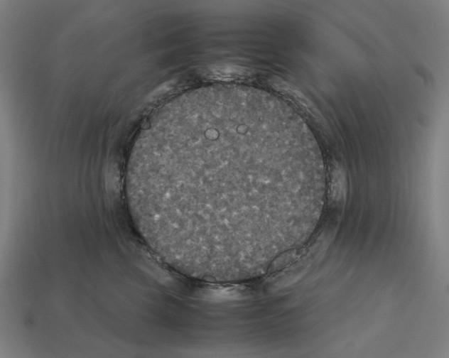 X0000112530569200909281041