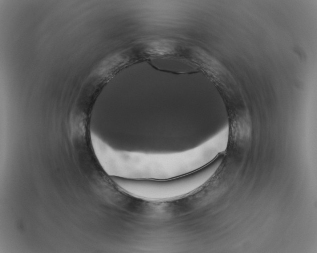 X0000112530570200909281041