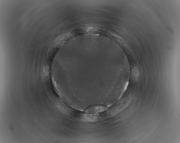 X0000112530571200909281041