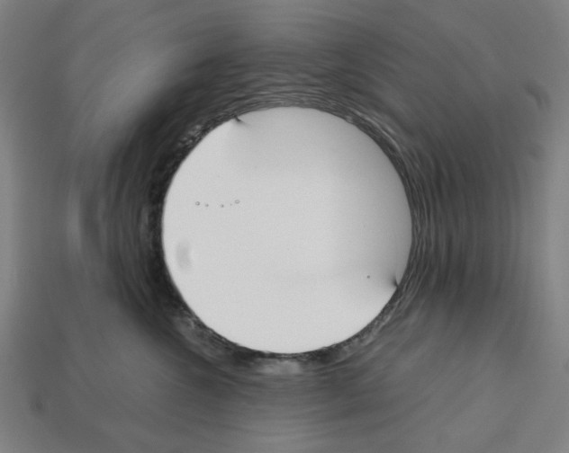 X0000112530572200909281041