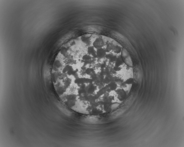 X0000112530573200909281041