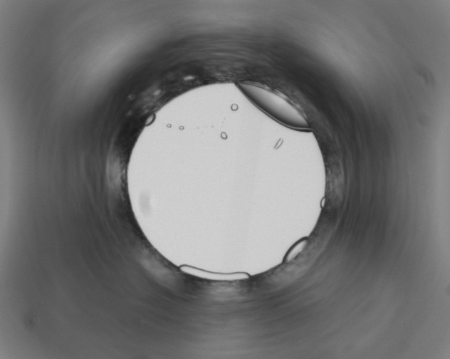 X0000112530574200909281041